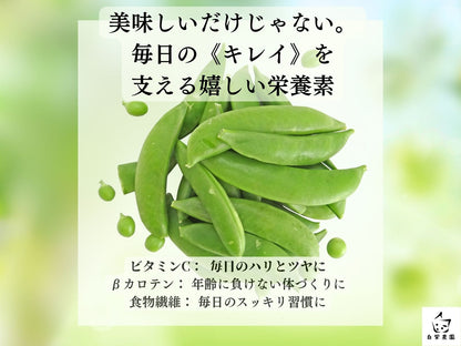 【糖度極まる】採れたて鮮度をそのまま届ける「厳選スナップエンドウ」 約1kg・クール便・ギフト対応