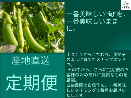 スナップエンドウ定期便　クール便