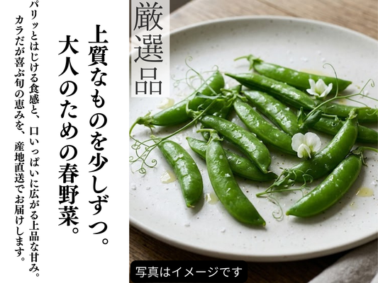 【糖度極まる】採れたて鮮度をそのまま届ける「厳選スナップエンドウ」 約1kg・クール便・ギフト対応