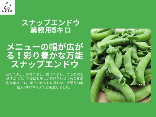 スナップエンドウ　業務用5キロ　クール便