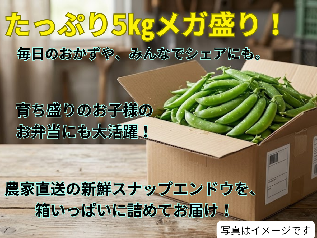 スナップエンドウ　業務用5キロ　クール便