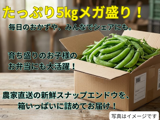 スナップエンドウ　業務用5キロ　クール便
