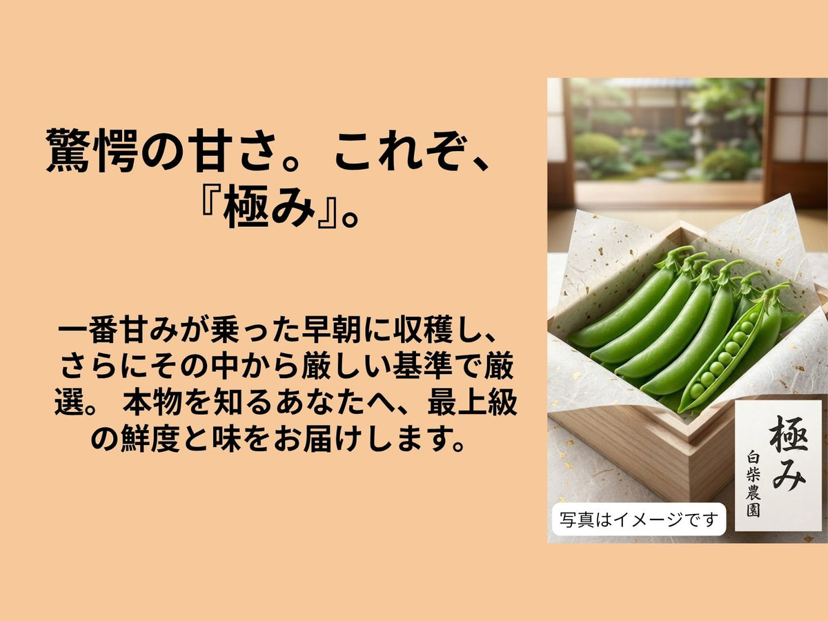 スナップエンドウ　極み１キロ　クール便