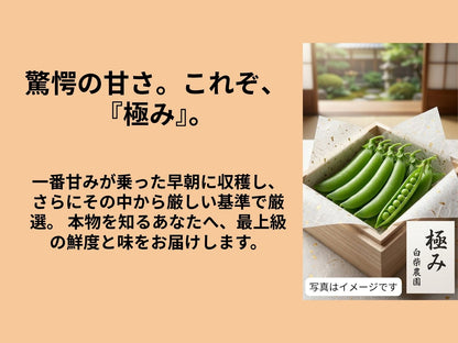 スナップエンドウ　極み１キロ　クール便