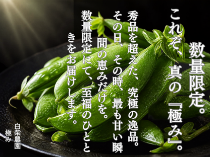 スナップエンドウ　極み１キロ　クール便