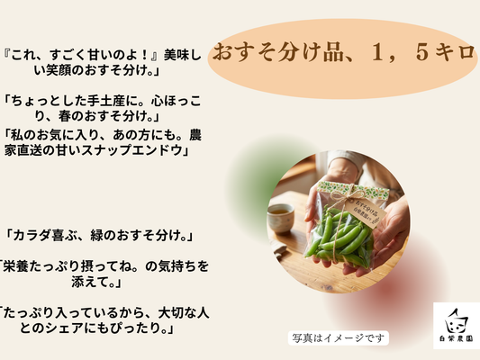 【家庭用スナップエンドウ】約1、５kg｜愛知県豊橋産・クール便・ギフト対応