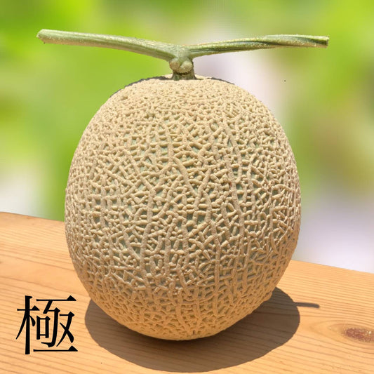 7月下旬～8月上旬発送予定　贈答用温室マスクメロン【極－きわみ－】1玉　約1.5㎏