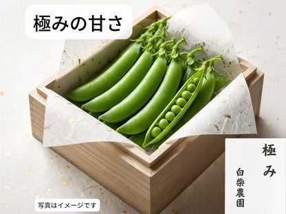 スナップエンドウ　極み１キロ　クール便